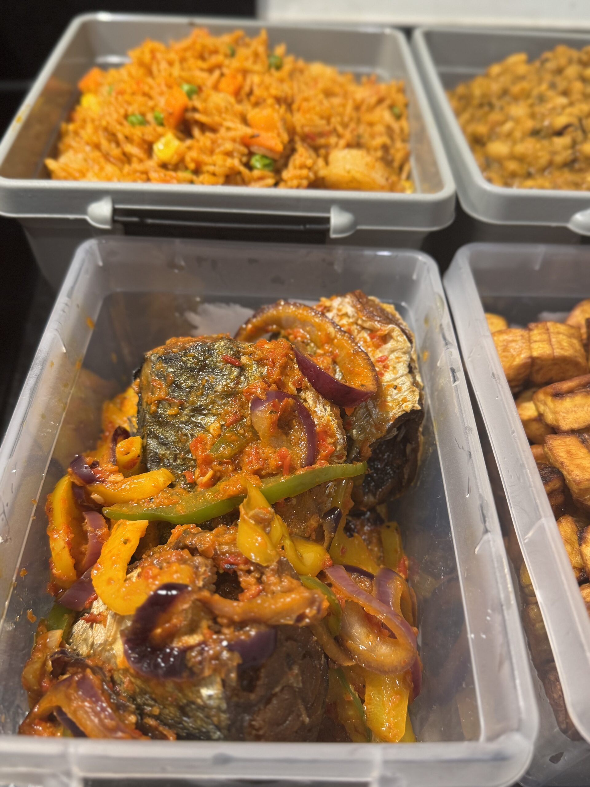 Mackerel